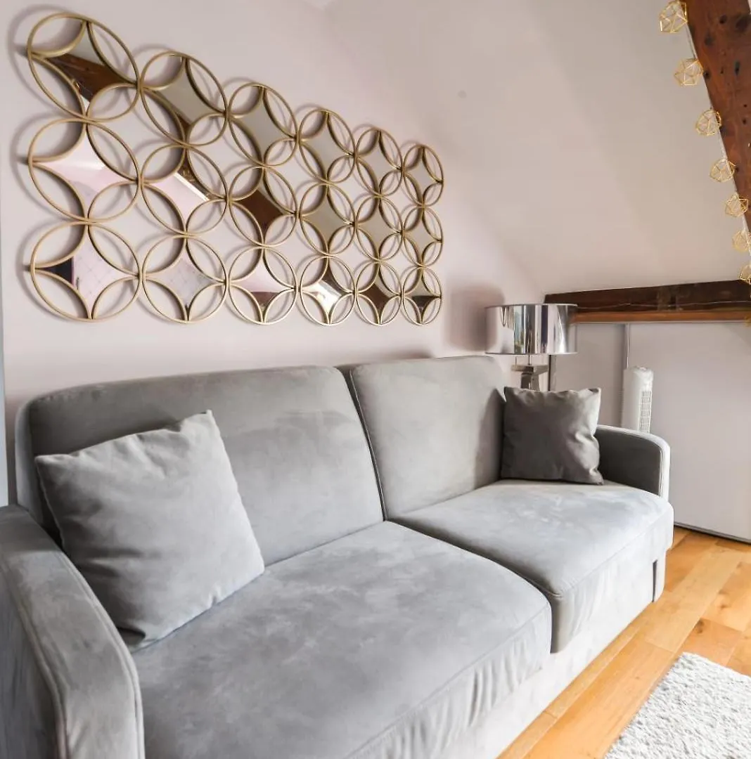Studio Of 27 M2 Close To The Luxembourg Garden Parijs Appartement